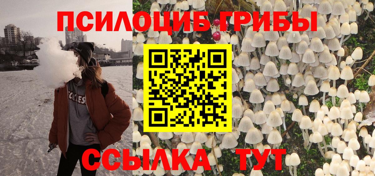 Псилоцибиновые грибы Cubensis Абакан