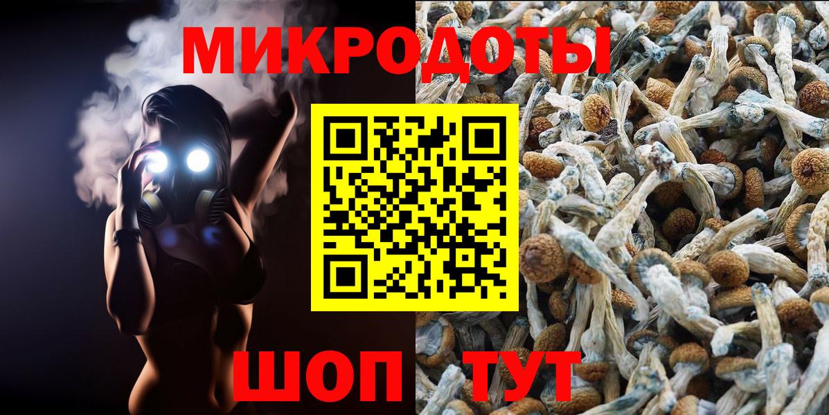 Псилоцибиновые грибы прущие грибы  Вход с VPN  Абакан 